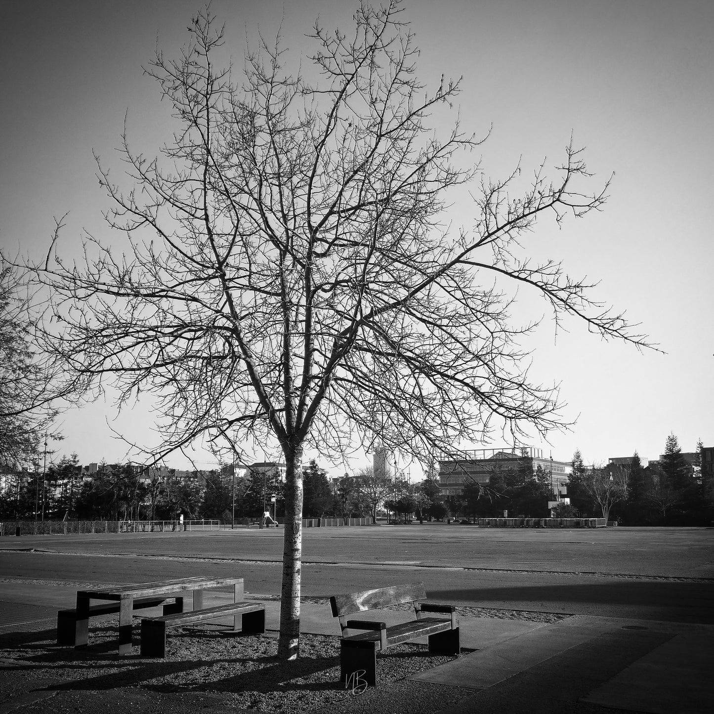 La solitude... ou pas !